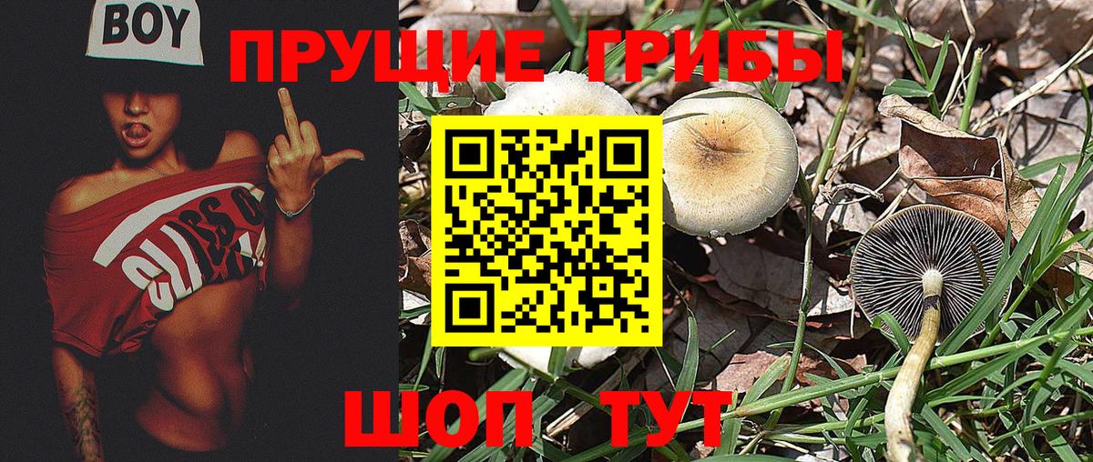 Псилоцибиновые грибы Magic Shrooms Кемерово