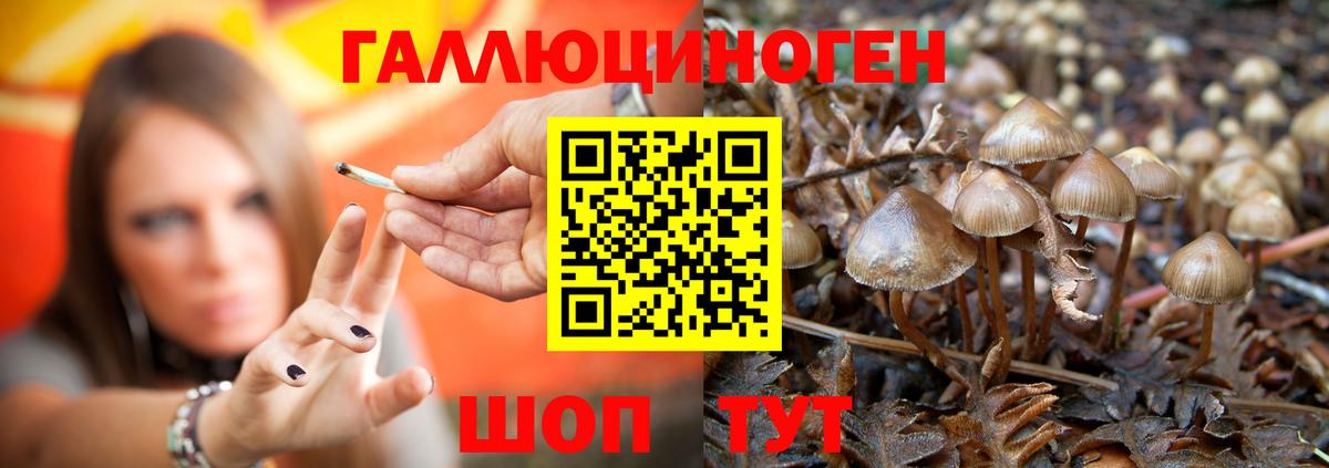 Кемерово  Галлюциногенные грибы ЛСД  Вход с VPN 